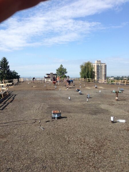 Flat roofing repair procedure
